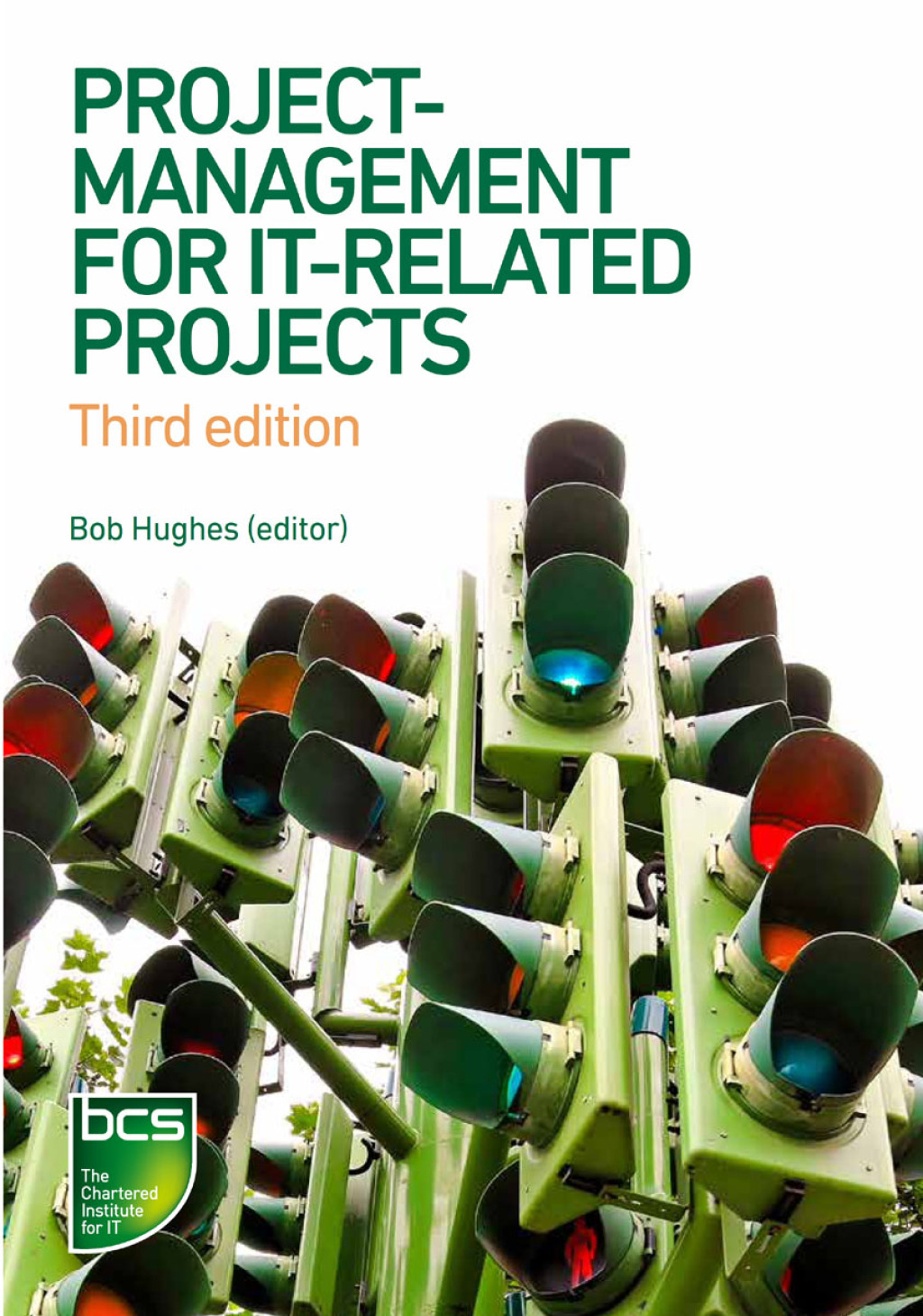 Project Management for IT-Related Projects 3rd Edition â€“ PDF/EPUB Version Downloadable