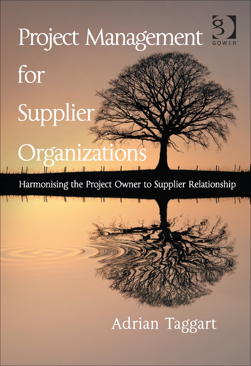 Project Management for Supplier Organizations: Harmonising the Project Owner to Supplier Relationship  â€“ PDF/EPUB Version Downloadable