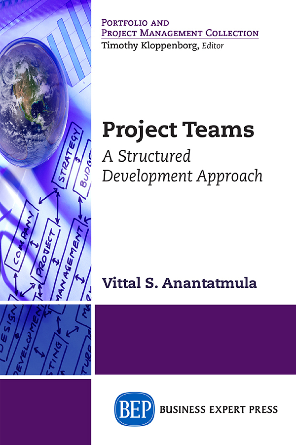Project Teams A Structured Development Approach - (PDF/EPUB Version)
