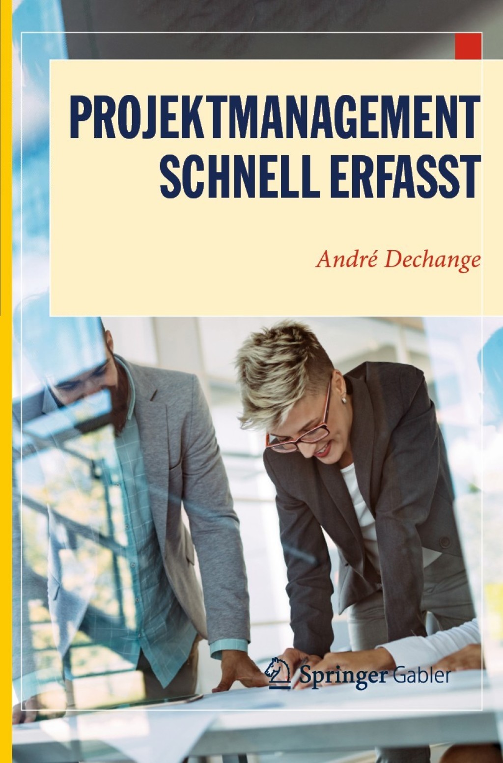 Projektmanagement â€“ Schnell erfasst - (PDF/EPUB Version)