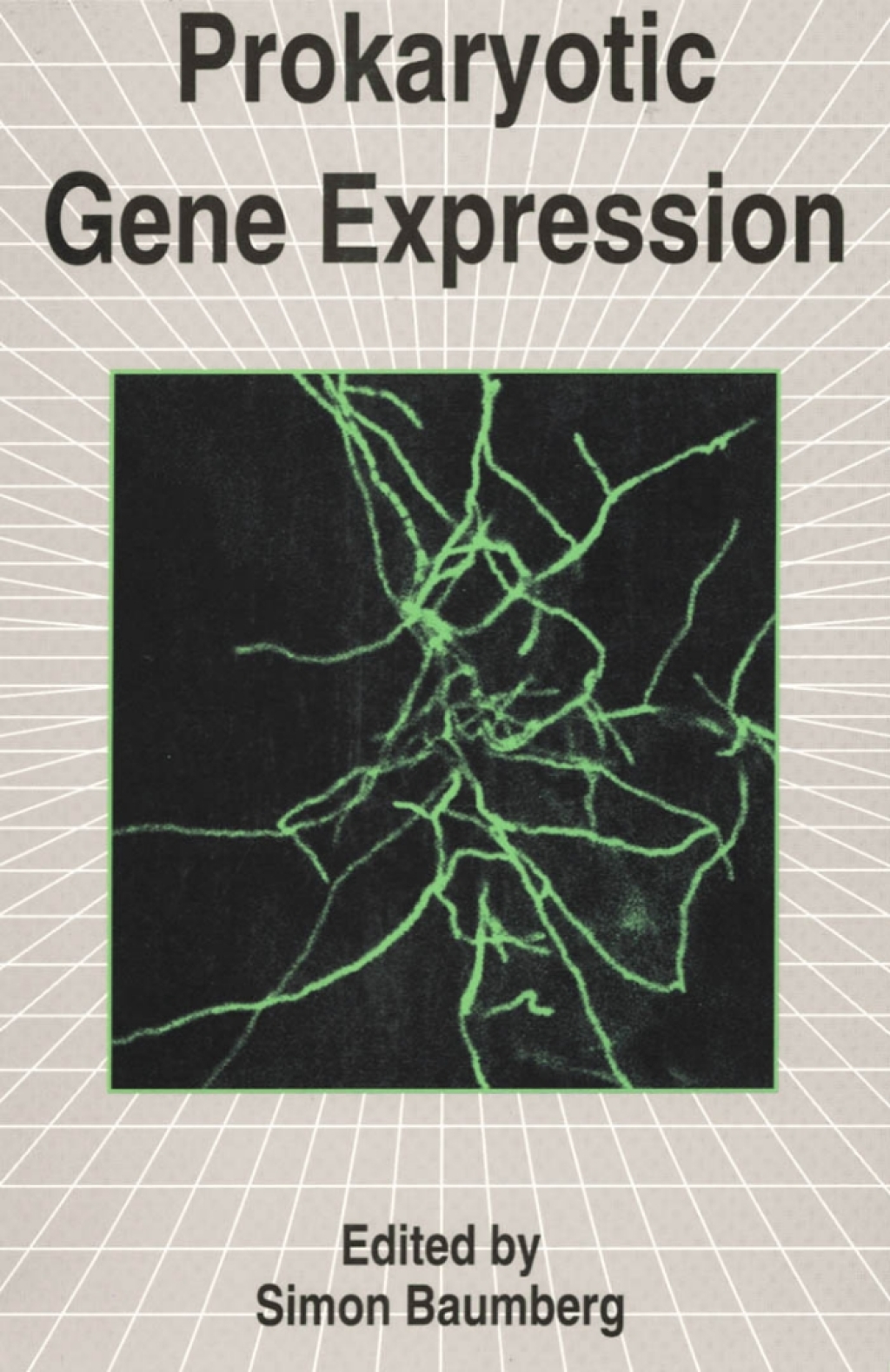 Prokaryotic Gene Expression 1st Edition â€“ PDF/EPUB Version Downloadable