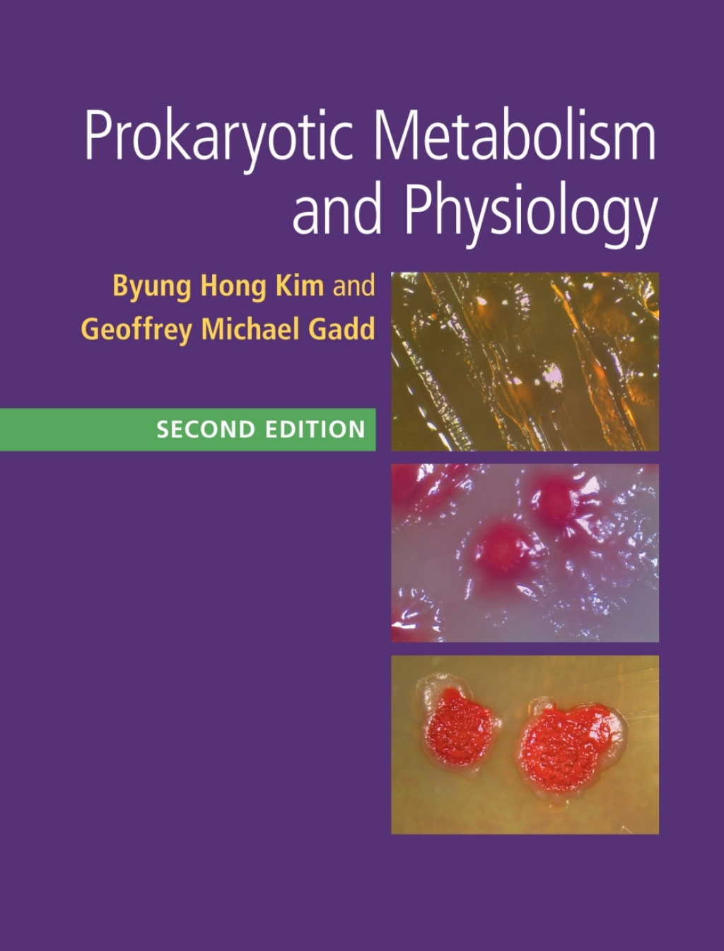 Prokaryotic Metabolism and Physiology 2nd Edition â€“ PDF/EPUB Version Downloadable