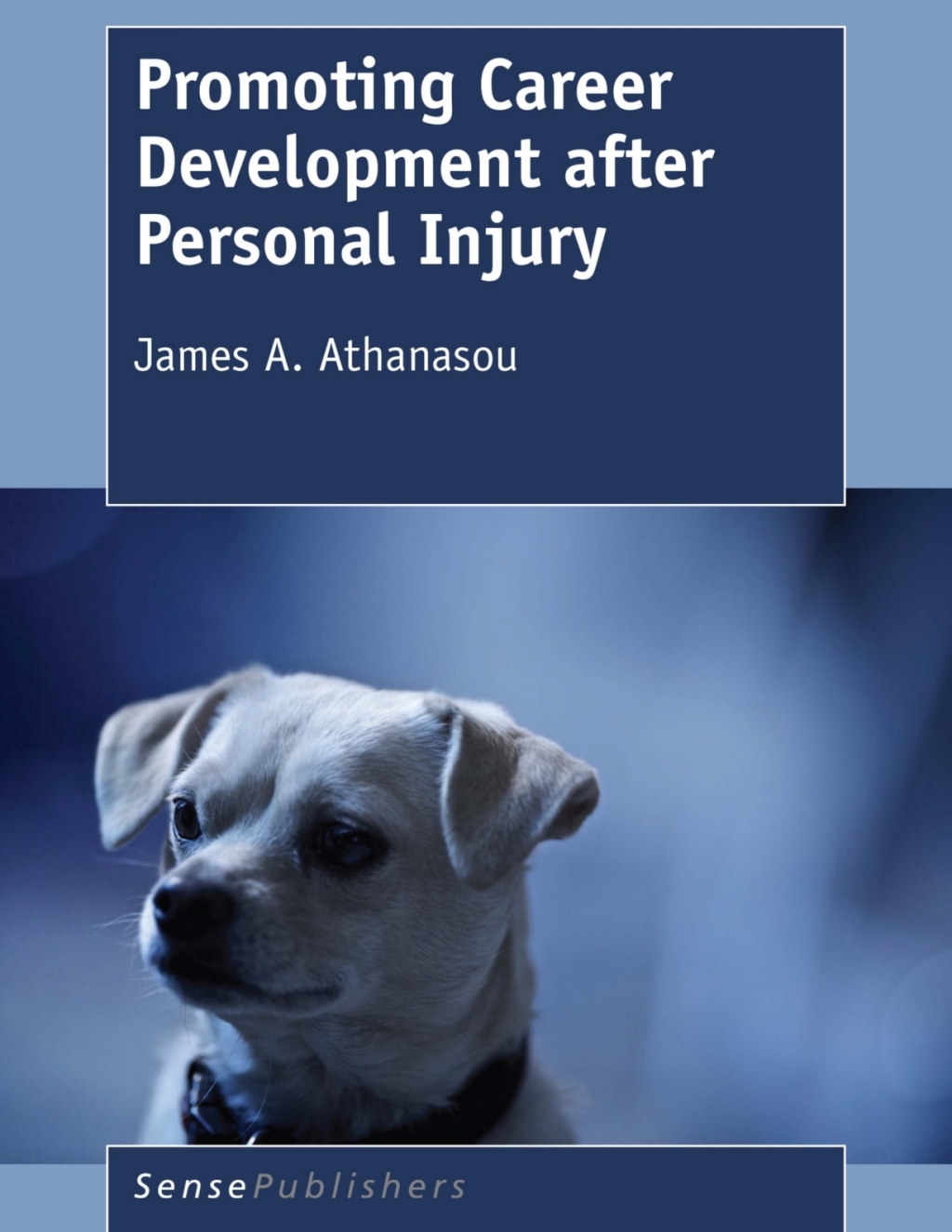 Promoting Career Development after Personal Injury  â€“ PDF/EPUB Version Downloadable