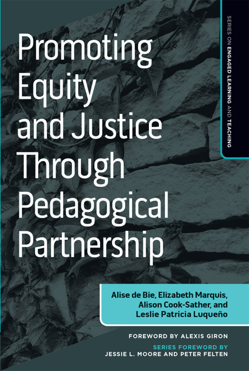 Promoting Equity and Justice Through Pedagogical Partnership 1st Edition â€“ PDF/EPUB Version Downloadable