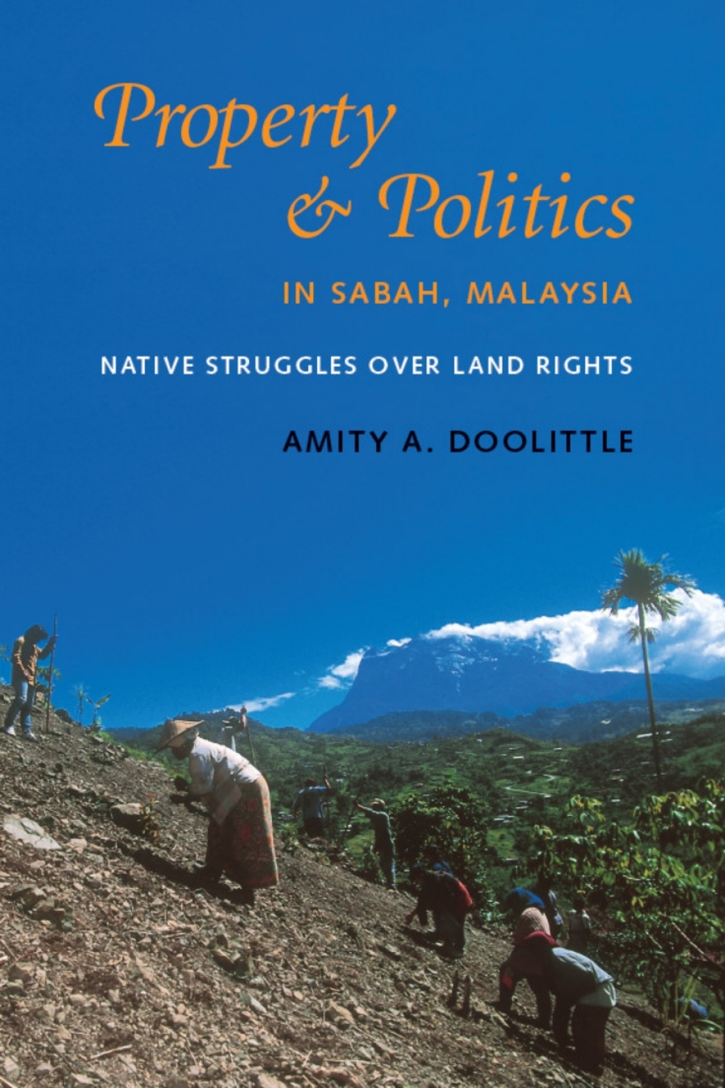 Property and Politics in Sabah, Malaysia Native Struggles Over Land Rights  â€“ PDF/EPUB Version Downloadable