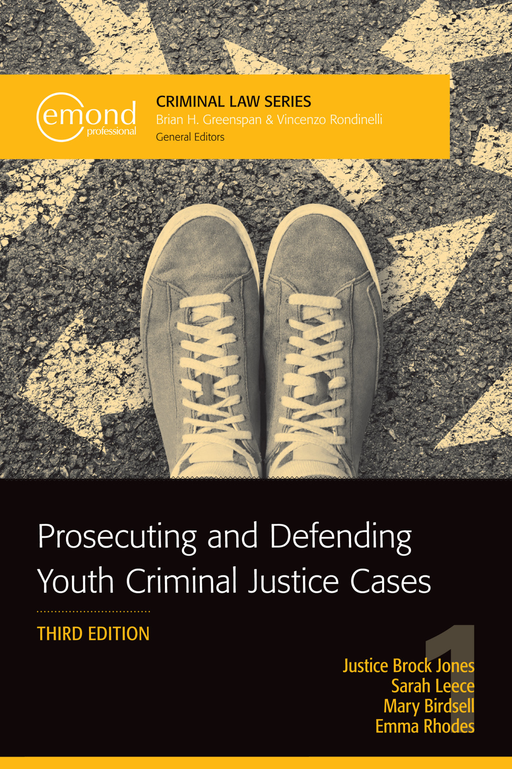 Prosecuting and Defending Youth Criminal Justice Cases 3rd Edition â€“ PDF/EPUB Version Downloadable