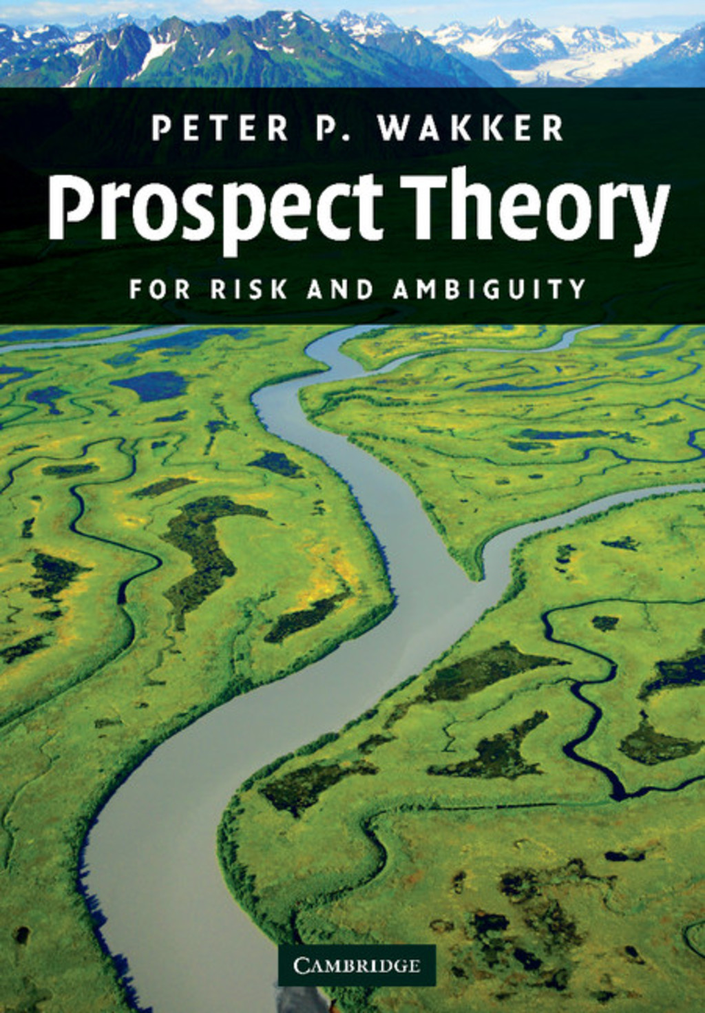 Prospect Theory For Risk and Ambiguity 1st Edition â€“ PDF/EPUB Version Downloadable