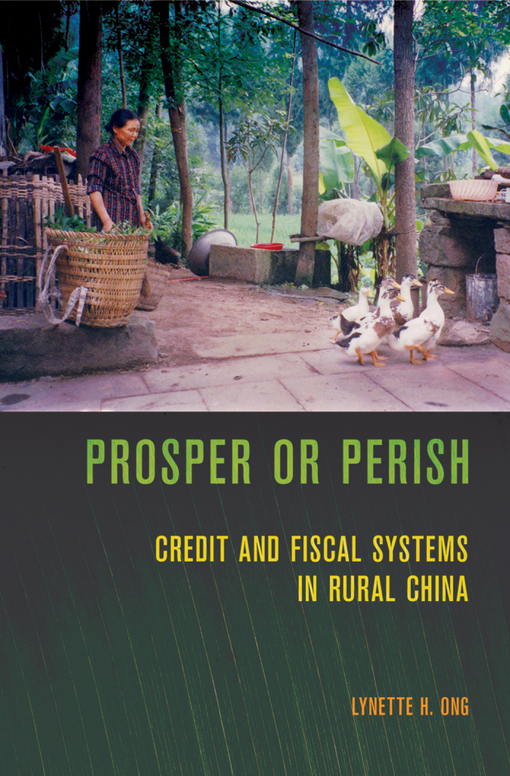 Prosper or Perish Credit and Fiscal Systems in Rural China 1st Edition - (PDF/EPUB Version)