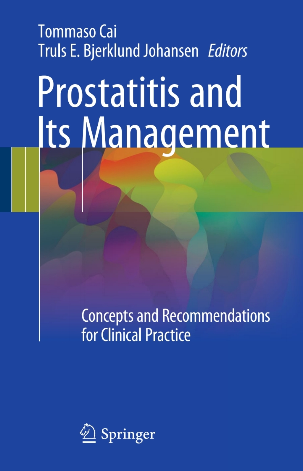 Prostatitis and Its Management Concepts and Recommendations for Clinical Practice  â€“ PDF/EPUB Version Downloadable