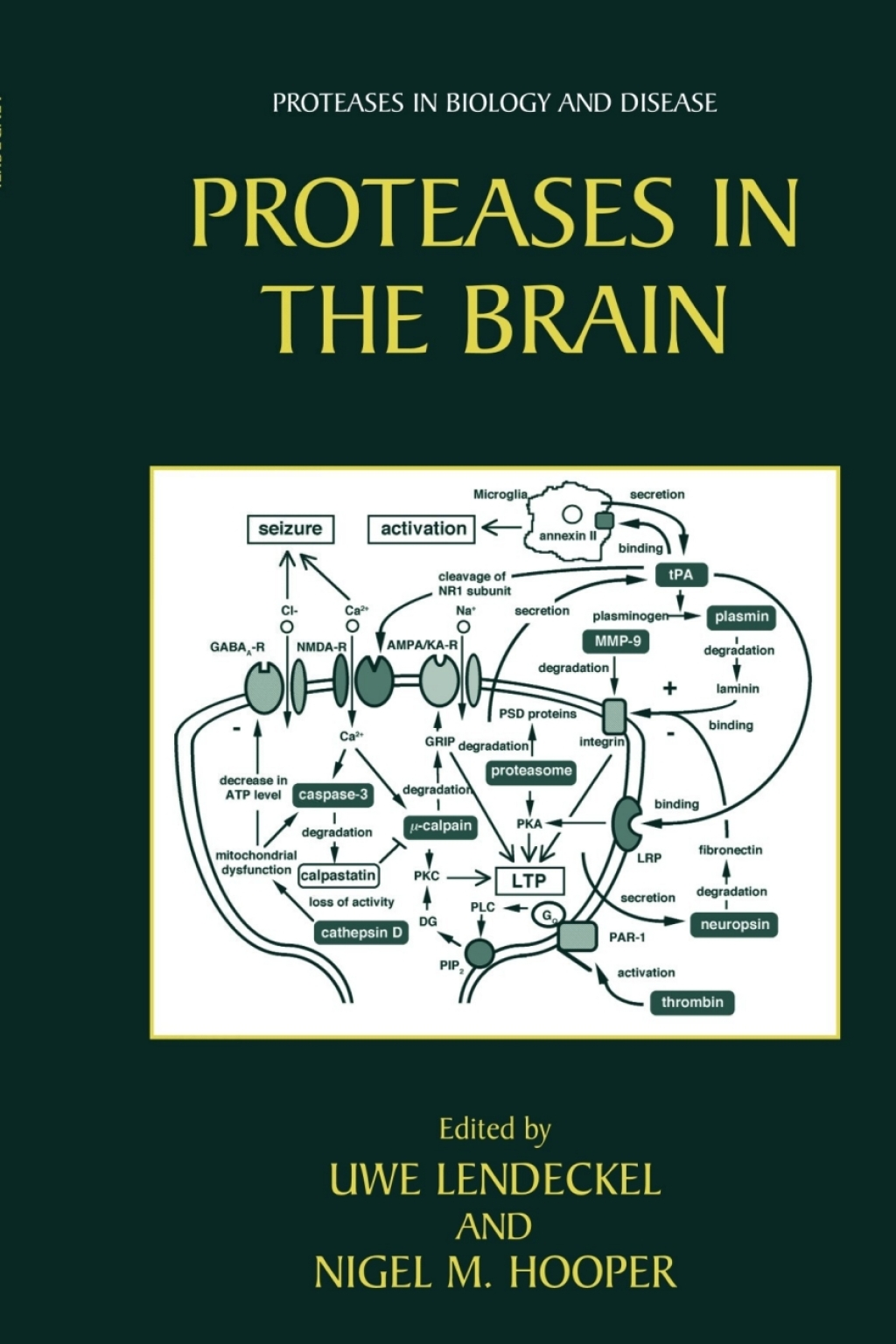 Proteases in the Brain 1st Edition â€“ PDF/EPUB Version Downloadable