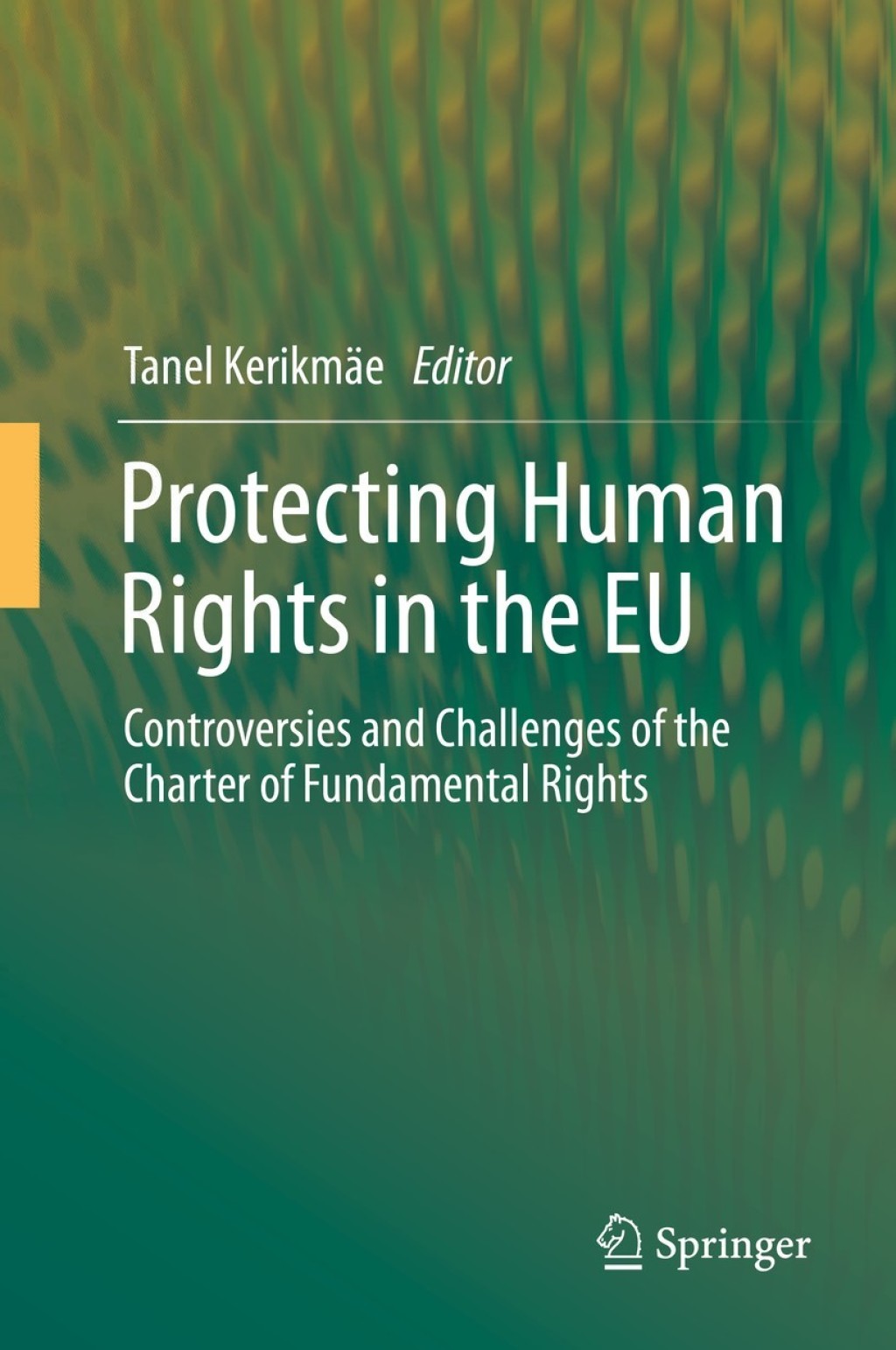 Protecting Human Rights in the EU Controversies and Challenges of the Charter of Fundamental Rights  â€“ PDF/EPUB Version Downloadable