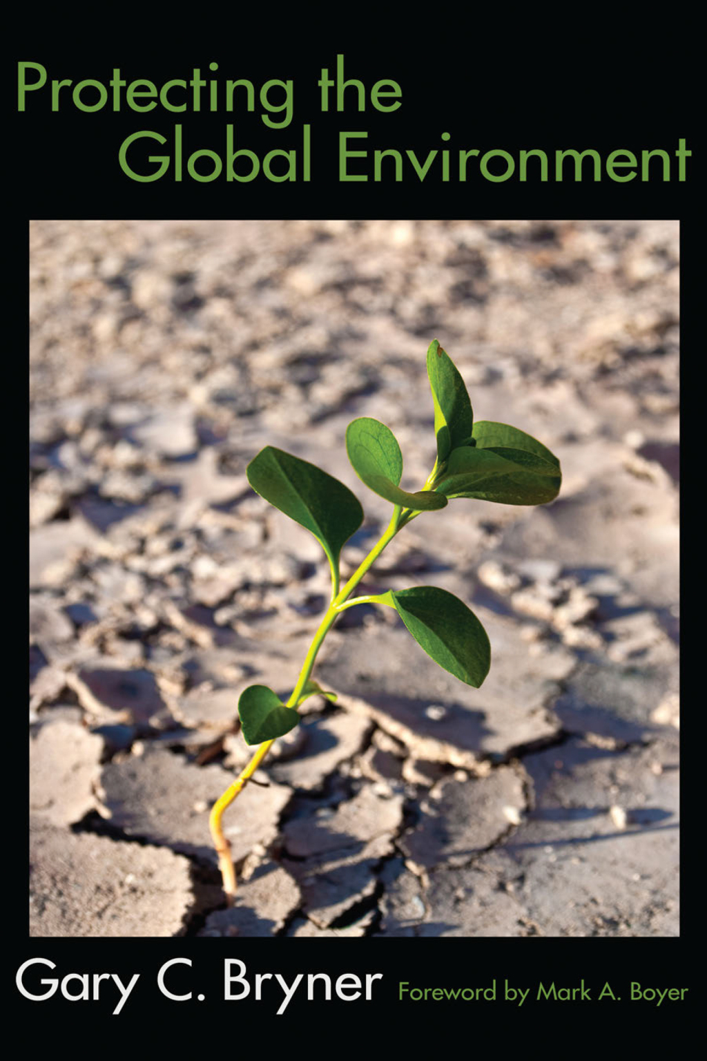 Protecting the Global Environment 1st Edition â€“ PDF/EPUB Version Downloadable