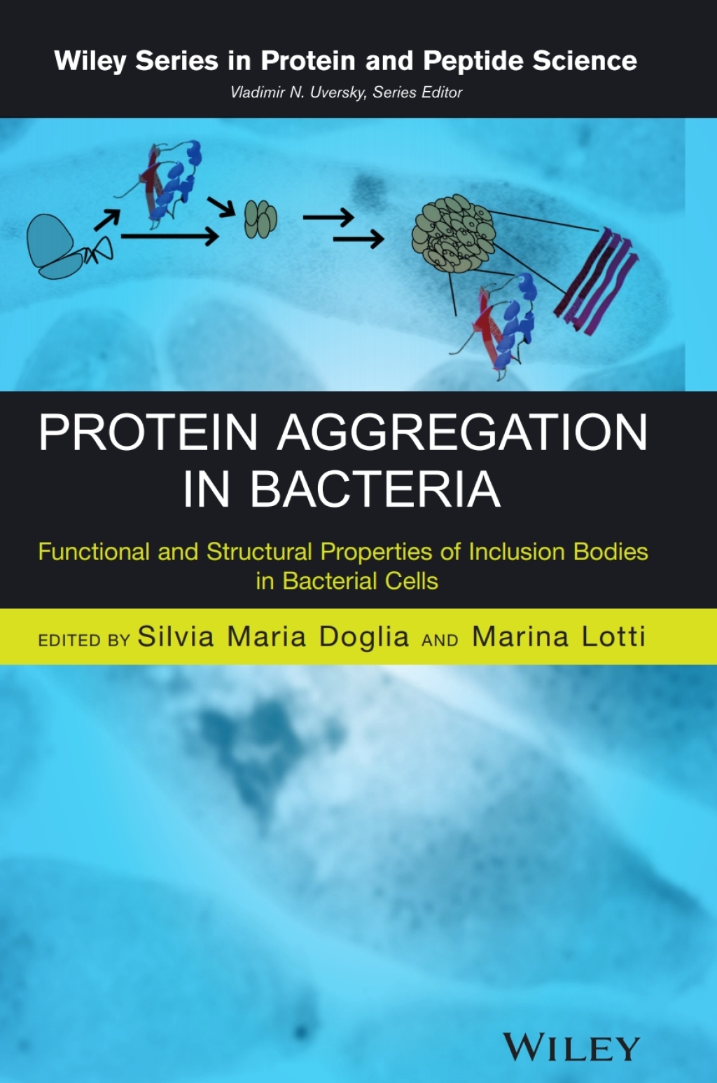Protein Aggregation in Bacteria Functional and Structural Properties of Inclusion Bodies in Bacterial Cells 1st Edition â€“ PDF/EPUB Version Downloadable