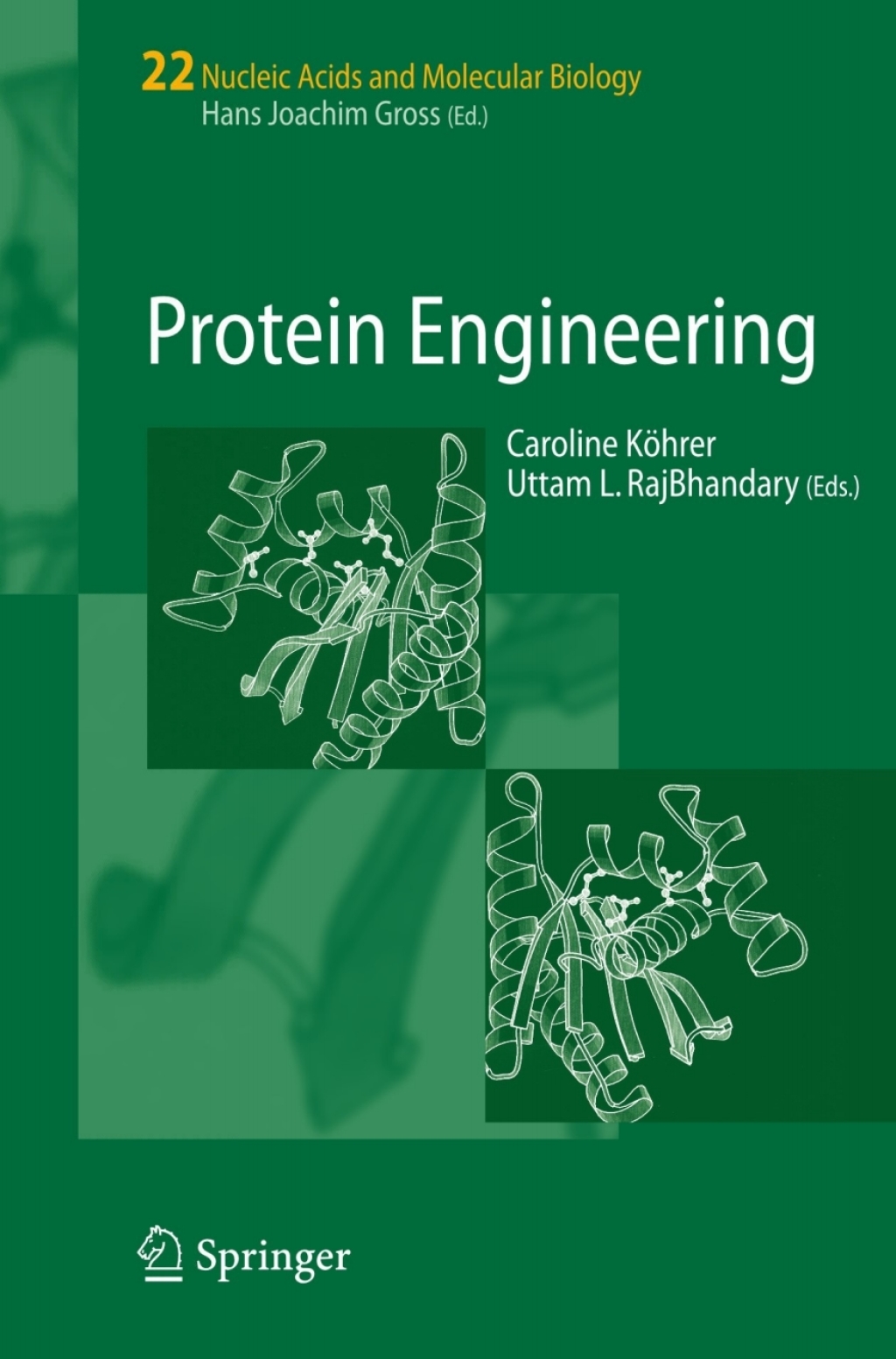 Protein Engineering 1st Edition â€“ PDF/EPUB Version Downloadable