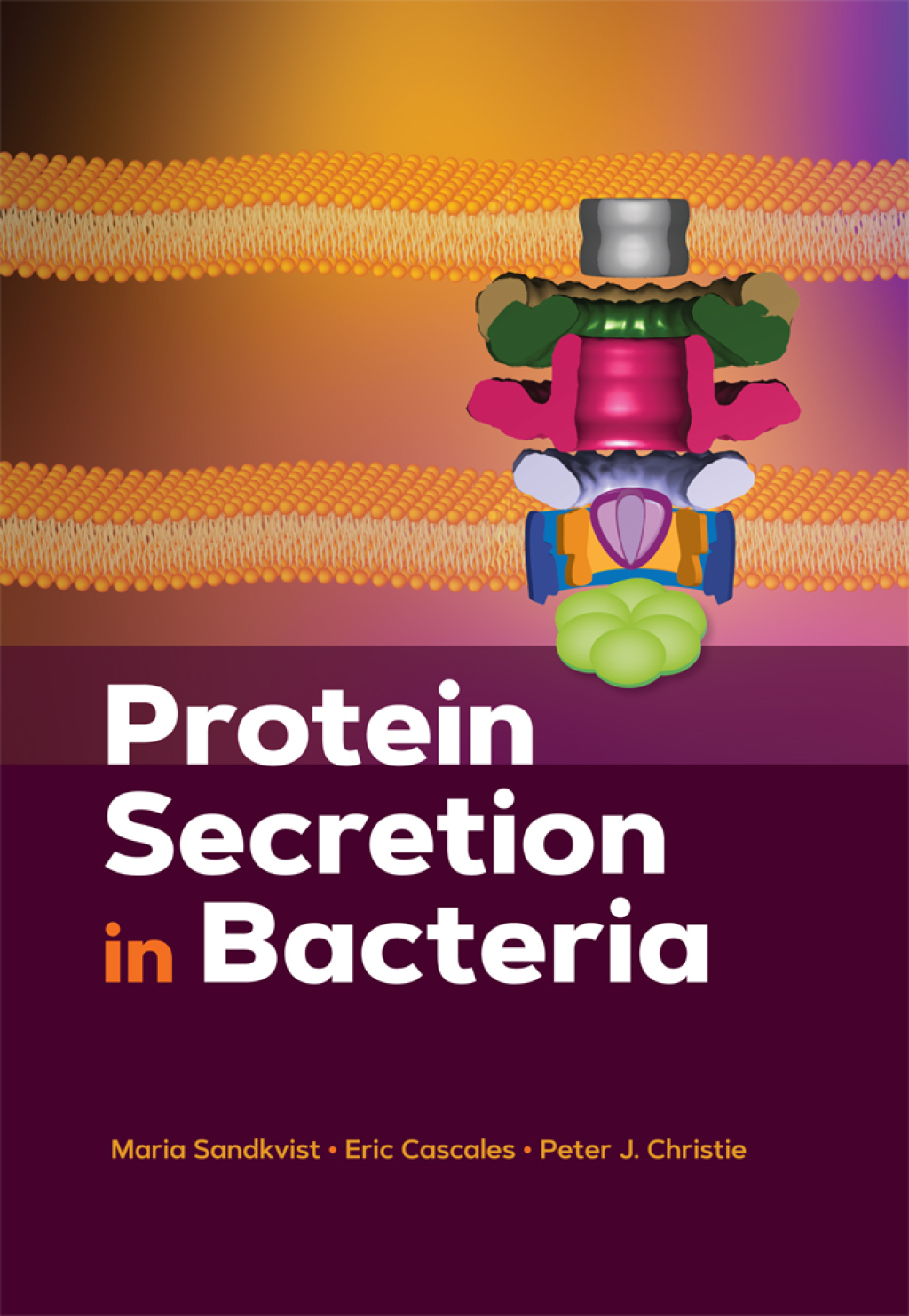Protein Secretion in Bacteria 1st Edition â€“ PDF/EPUB Version Downloadable