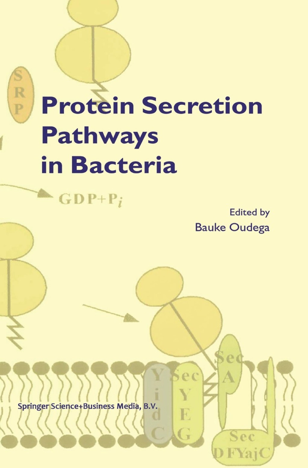 Protein Secretion Pathways in Bacteria 1st Edition â€“ PDF/EPUB Version Downloadable