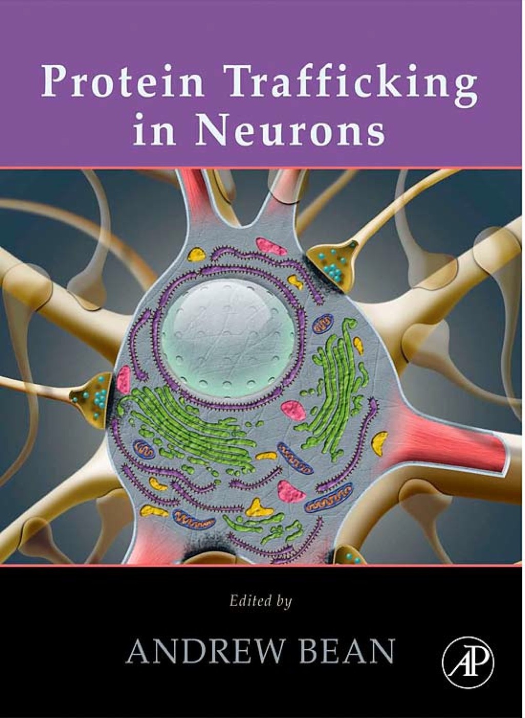 Protein Trafficking in Neurons  â€“ PDF/EPUB Version Downloadable