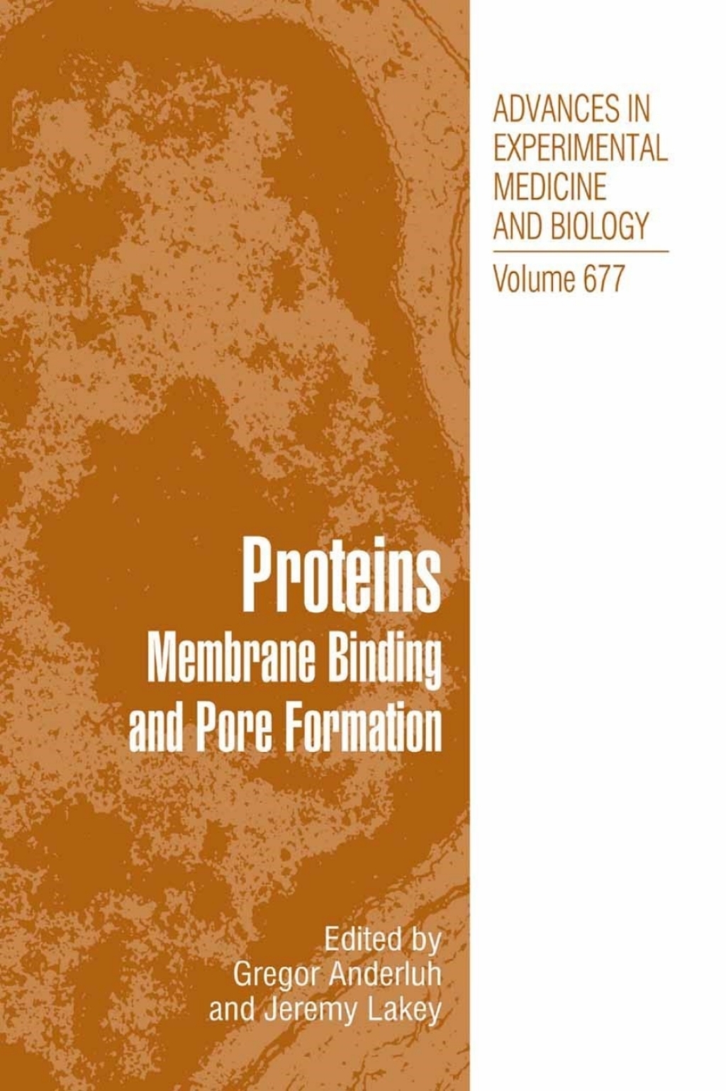 Proteins Membrane Binding and Pore Formation 1st Edition â€“ PDF/EPUB Version Downloadable