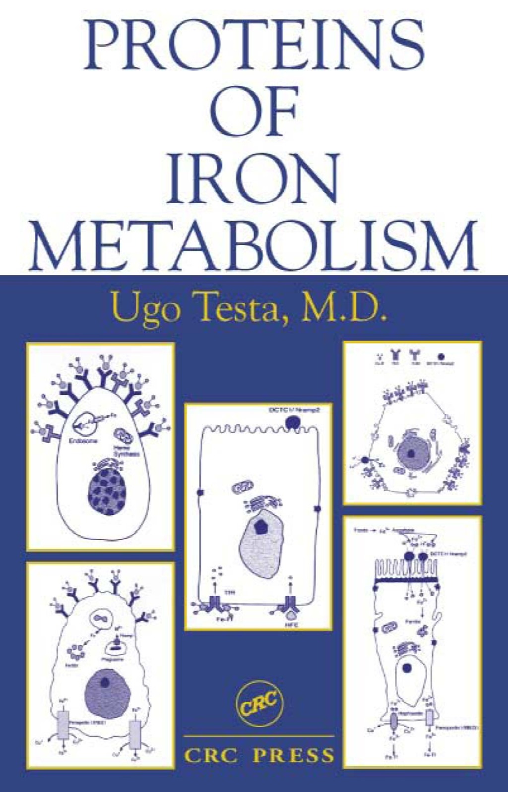 Proteins of Iron Metabolism 1st Edition â€“ PDF/EPUB Version Downloadable