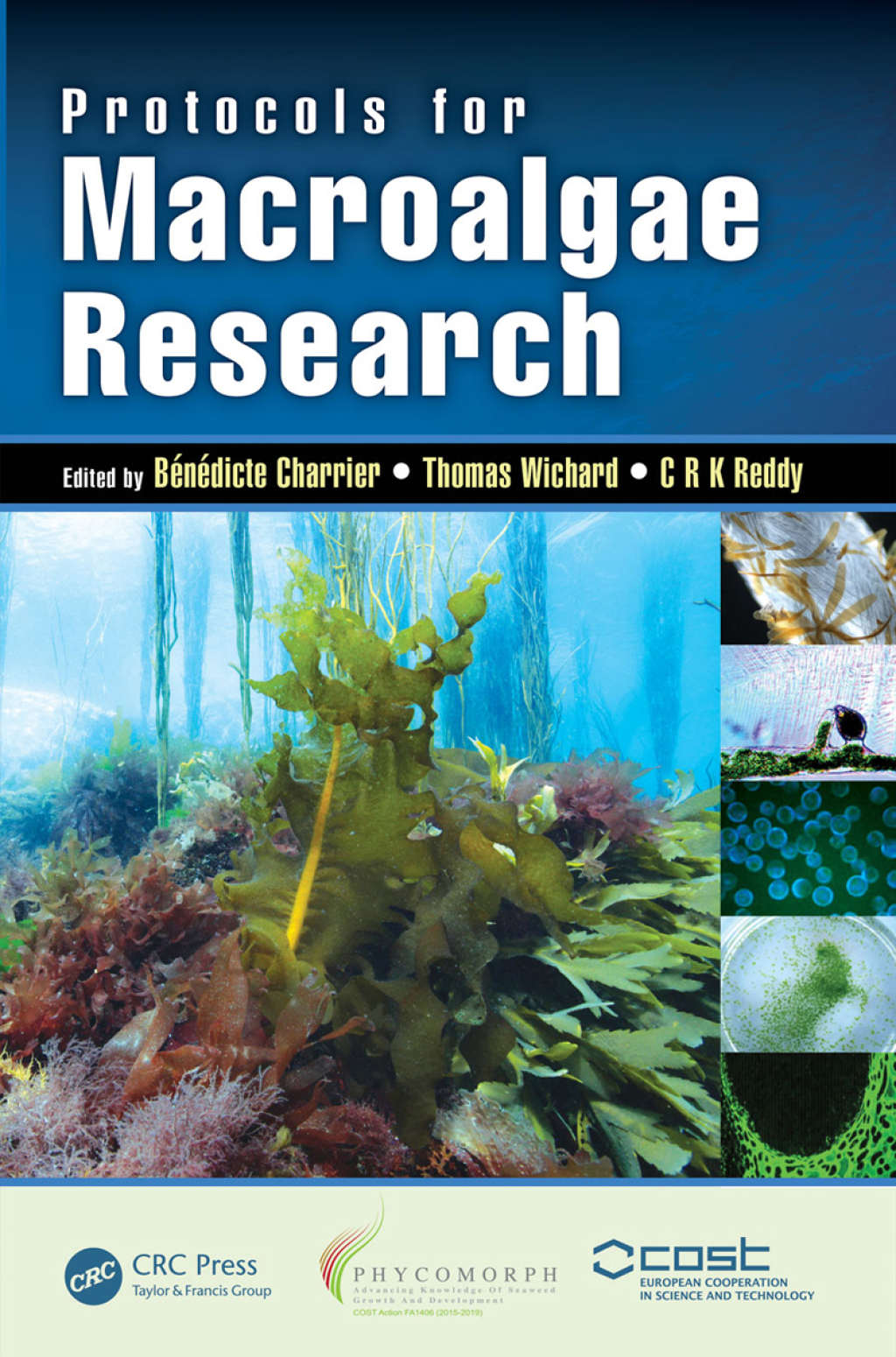 Protocols for Macroalgae Research 1st Edition â€“ PDF/EPUB Version Downloadable