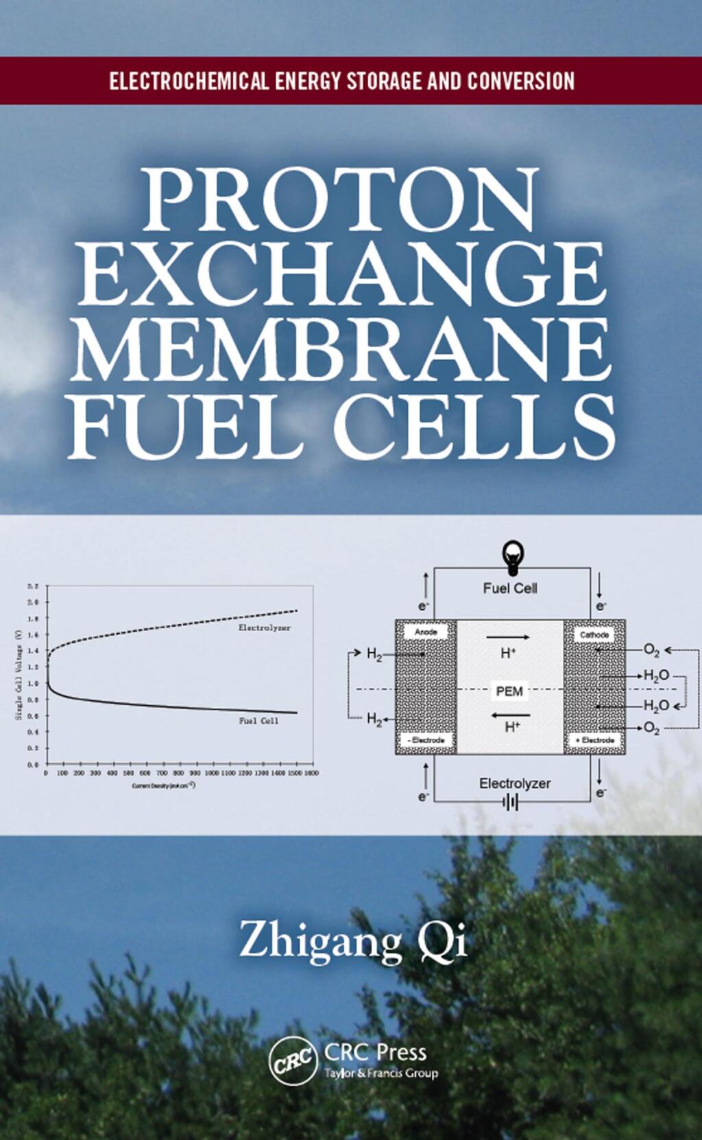 Proton Exchange Membrane Fuel Cells 1st Edition â€“ PDF/EPUB Version Downloadable