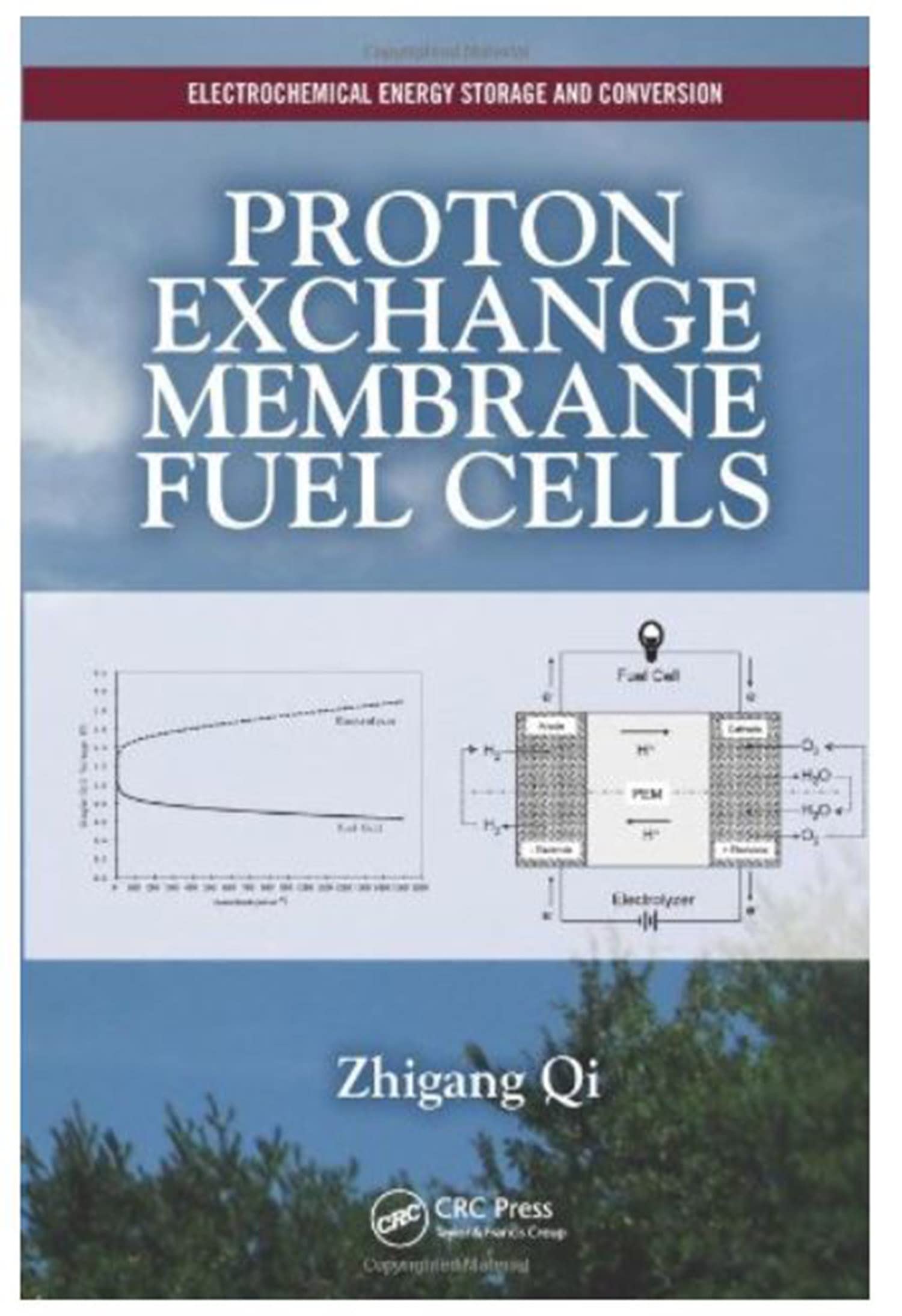 Proton Exchange Membrane Fuel Cells – PDF/EPUB Version Downloadable ...