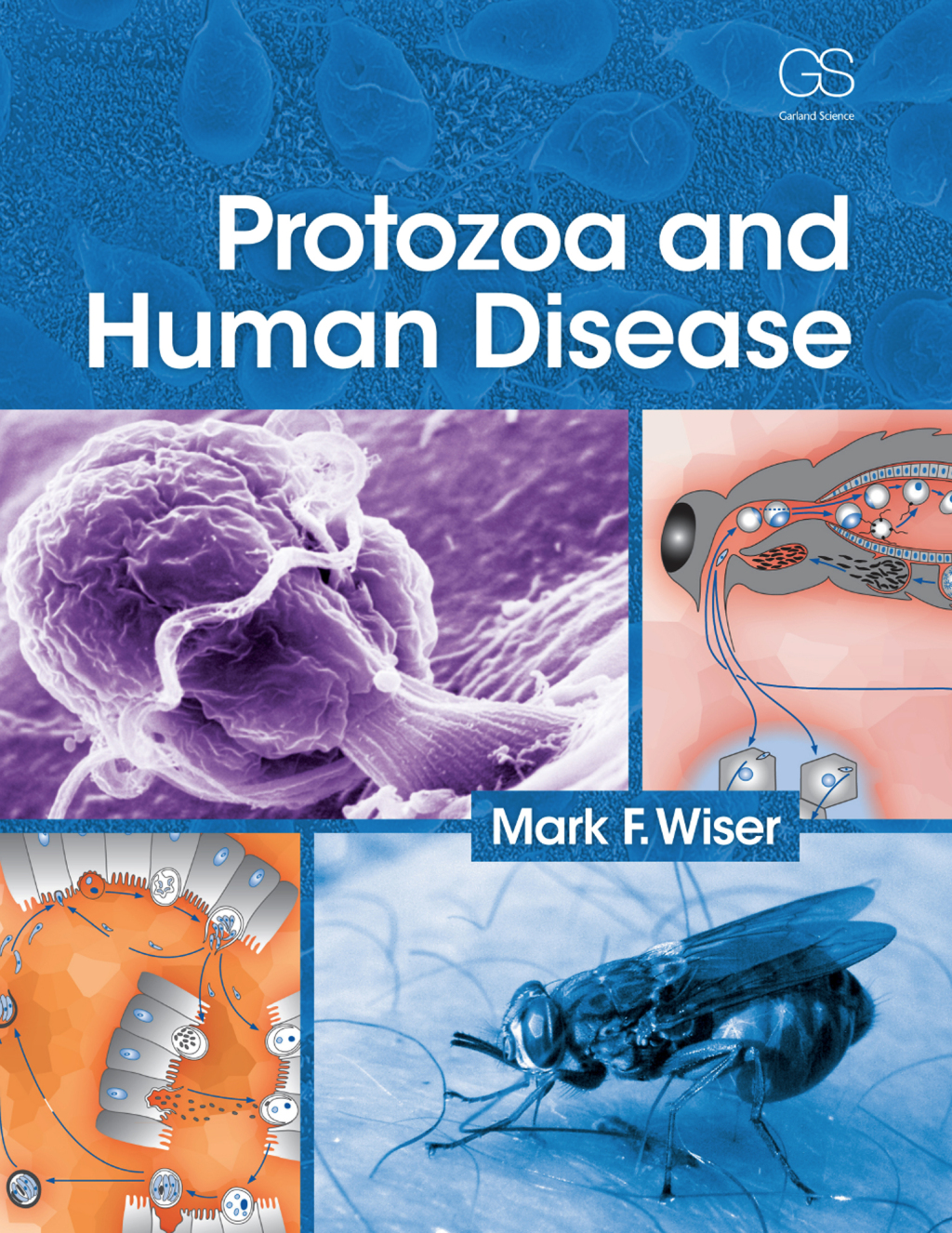 Protozoa and Human Disease 1st Edition â€“ PDF/EPUB Version Downloadable