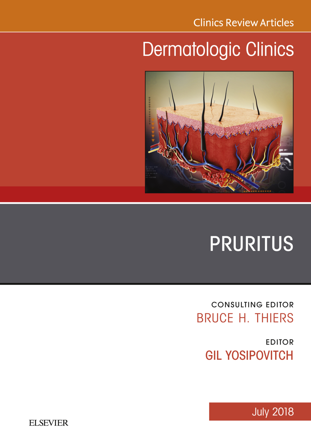 Pruritus, An Issue of Dermatologic Clinics  â€“ PDF/EPUB Version Downloadable