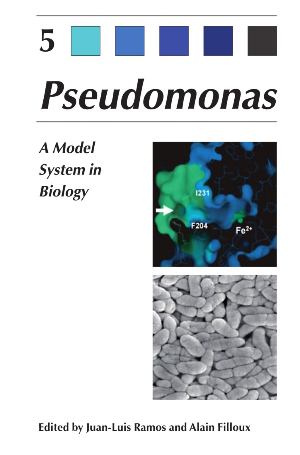 Pseudomonas Volume 5: A Model System in Biology 1st Edition â€“ PDF/EPUB Version Downloadable