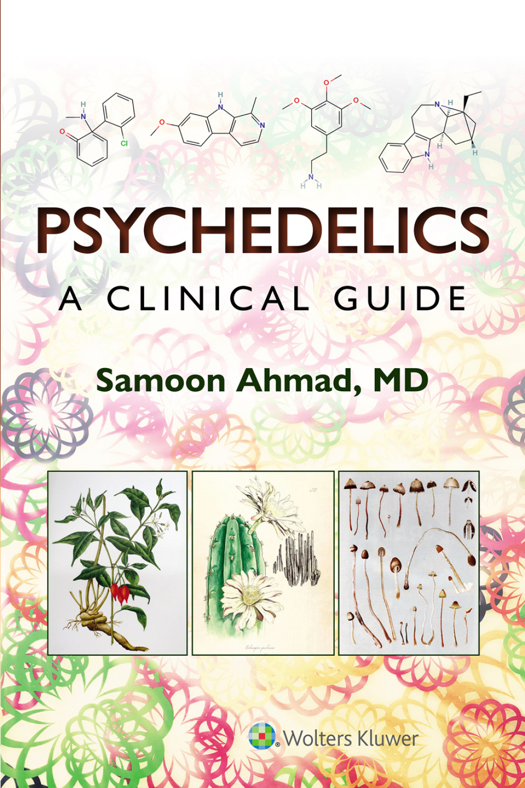 Psychedelics: A Clinical Guide  â€“ PDF/EPUB Version Downloadable