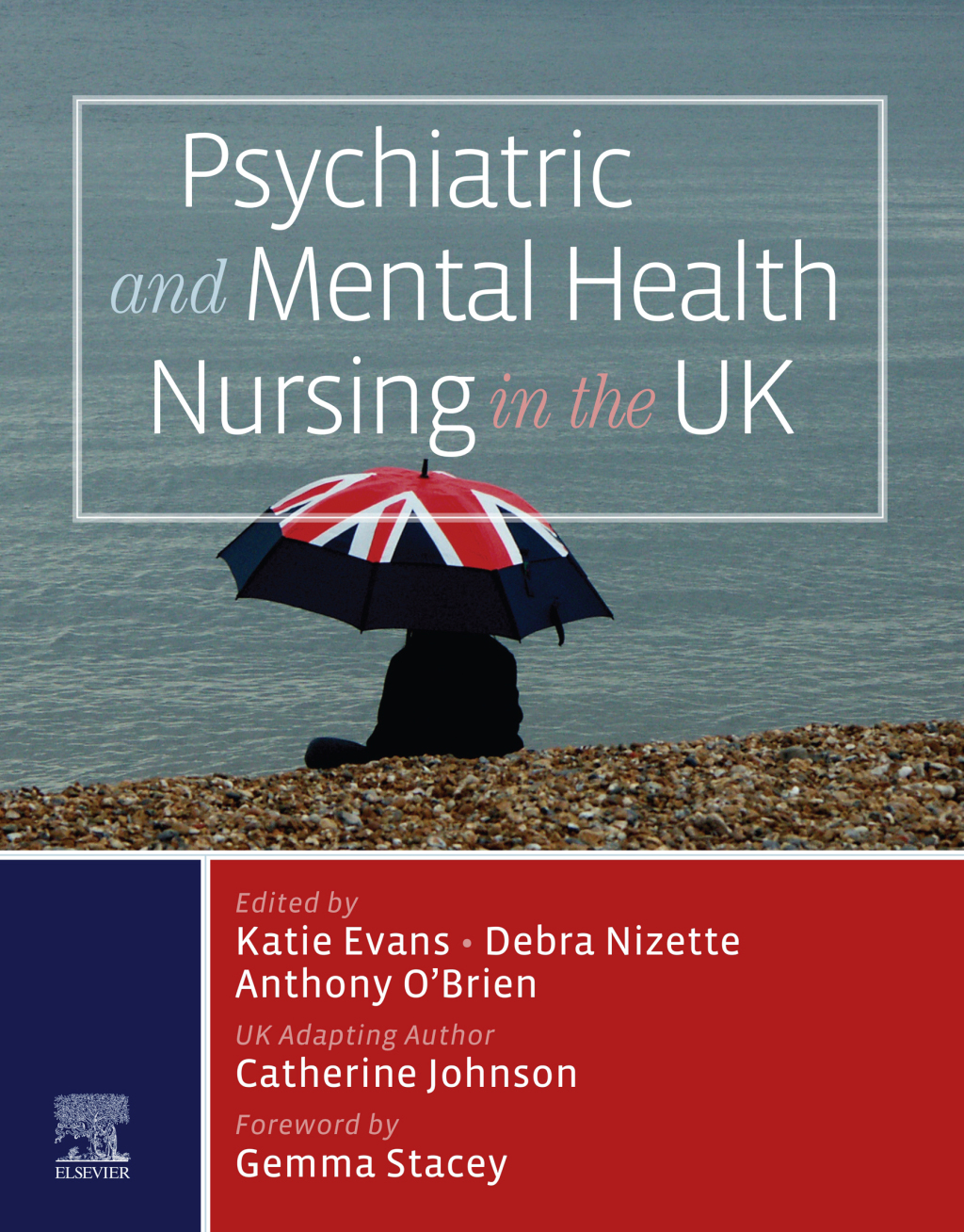 Psychiatric and Mental Health Nursing in the UK 1st Edition - (PDF/EPUB Version)