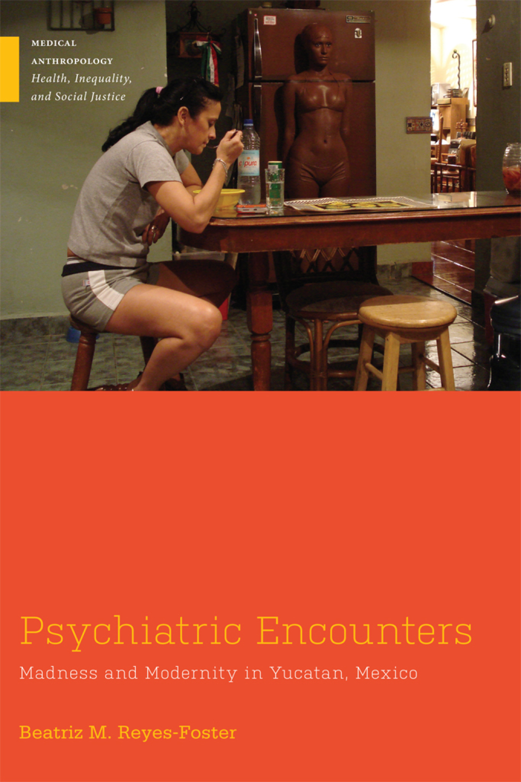 Psychiatric Encounters Madness and Modernity in Yucatan, Mexico  â€“ PDF/EPUB Version Downloadable