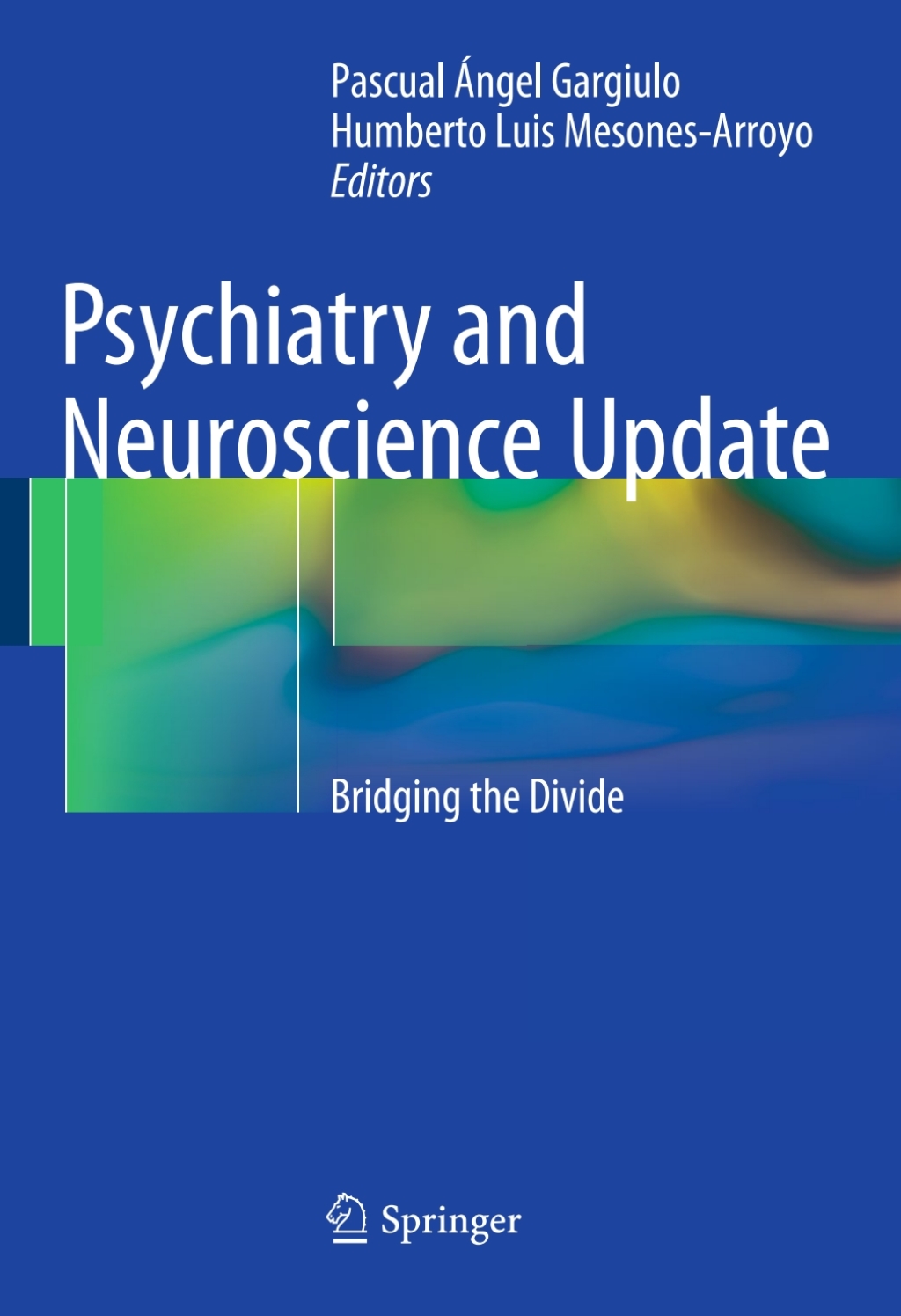 Psychiatry and Neuroscience Update Bridging the Divide  â€“ PDF/EPUB Version Downloadable
