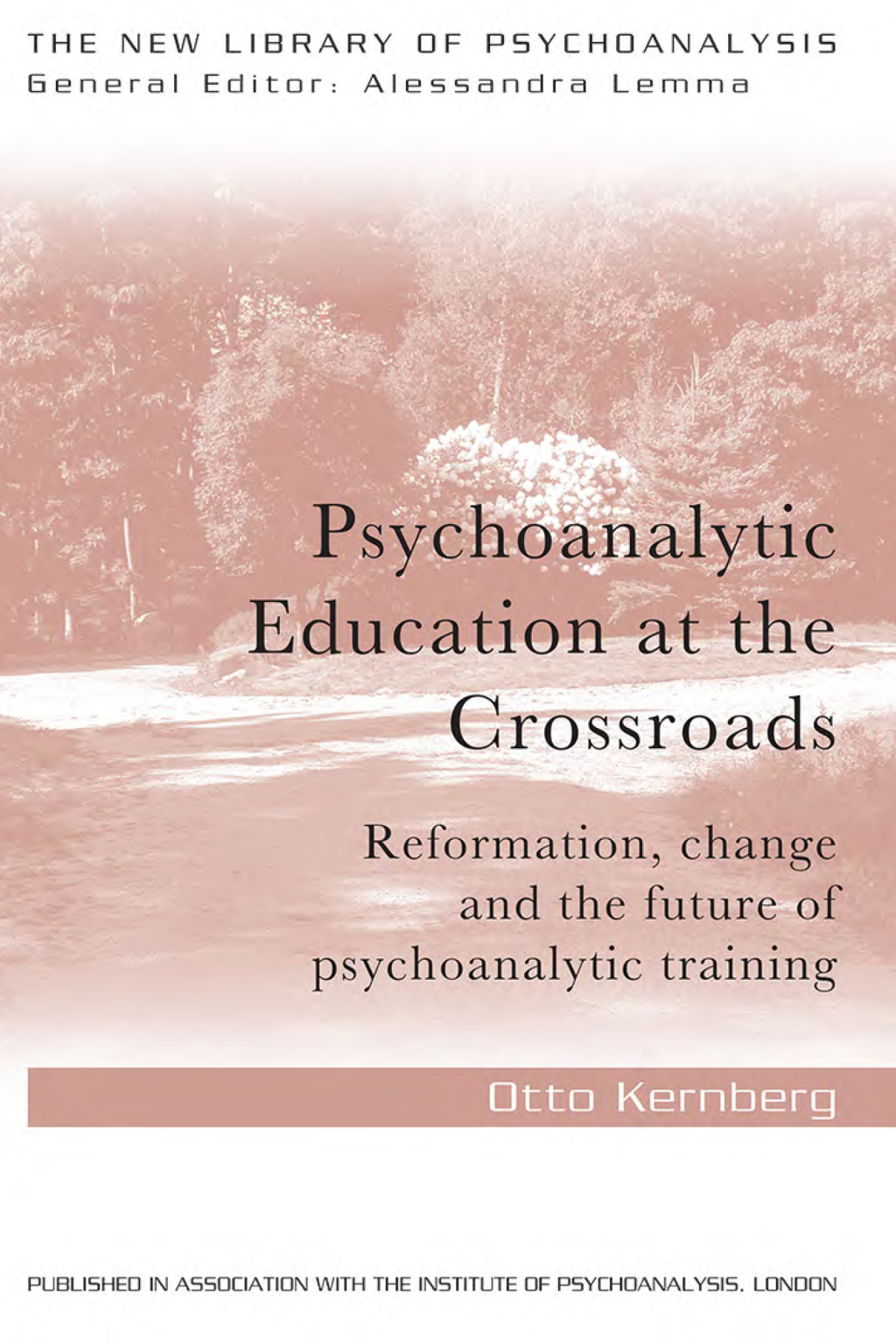 Psychoanalytic Education at the Crossroads Reformation, change and the future of psychoanalytic training 1st Edition â€“ PDF/EPUB Version Downloadable