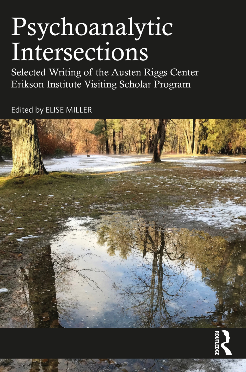 Psychoanalytic Intersections Selected Writing of the Austen Riggs Center Erikson Institute Visiting Scholar Program 1st Edition â€“ PDF/EPUB Version Downloadable