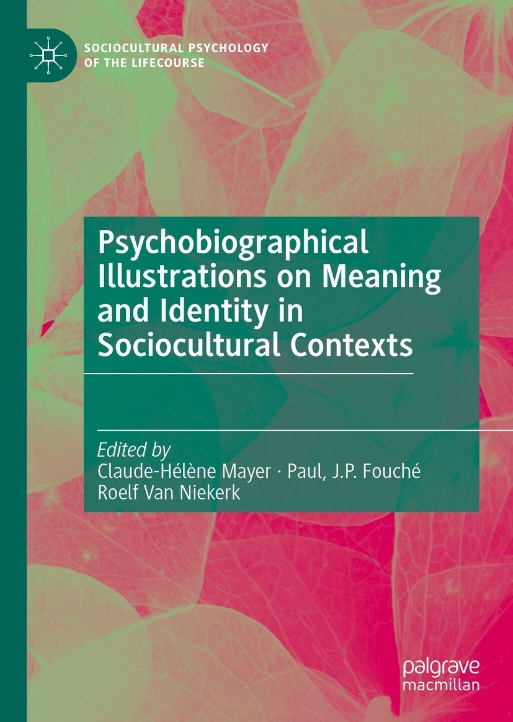 Psychobiographical Illustrations on Meaning and Identity in Sociocultural Contexts  â€“ PDF/EPUB Version Downloadable