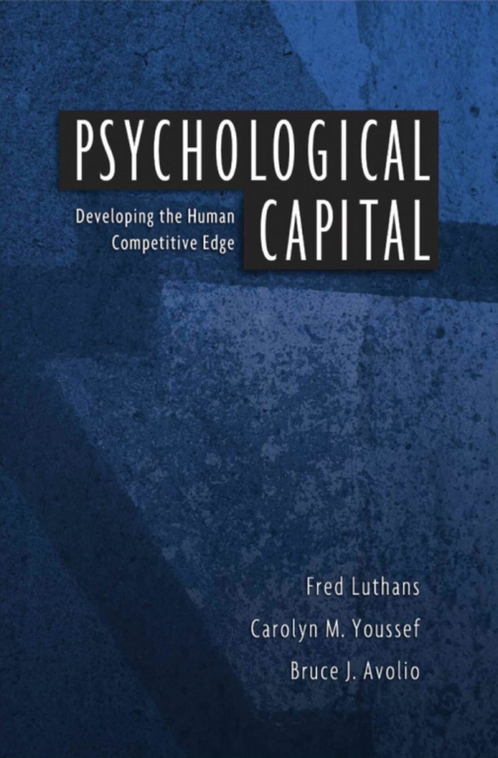 Psychological Capital Developing the Human Competitive Edge - (PDF/EPUB Version)