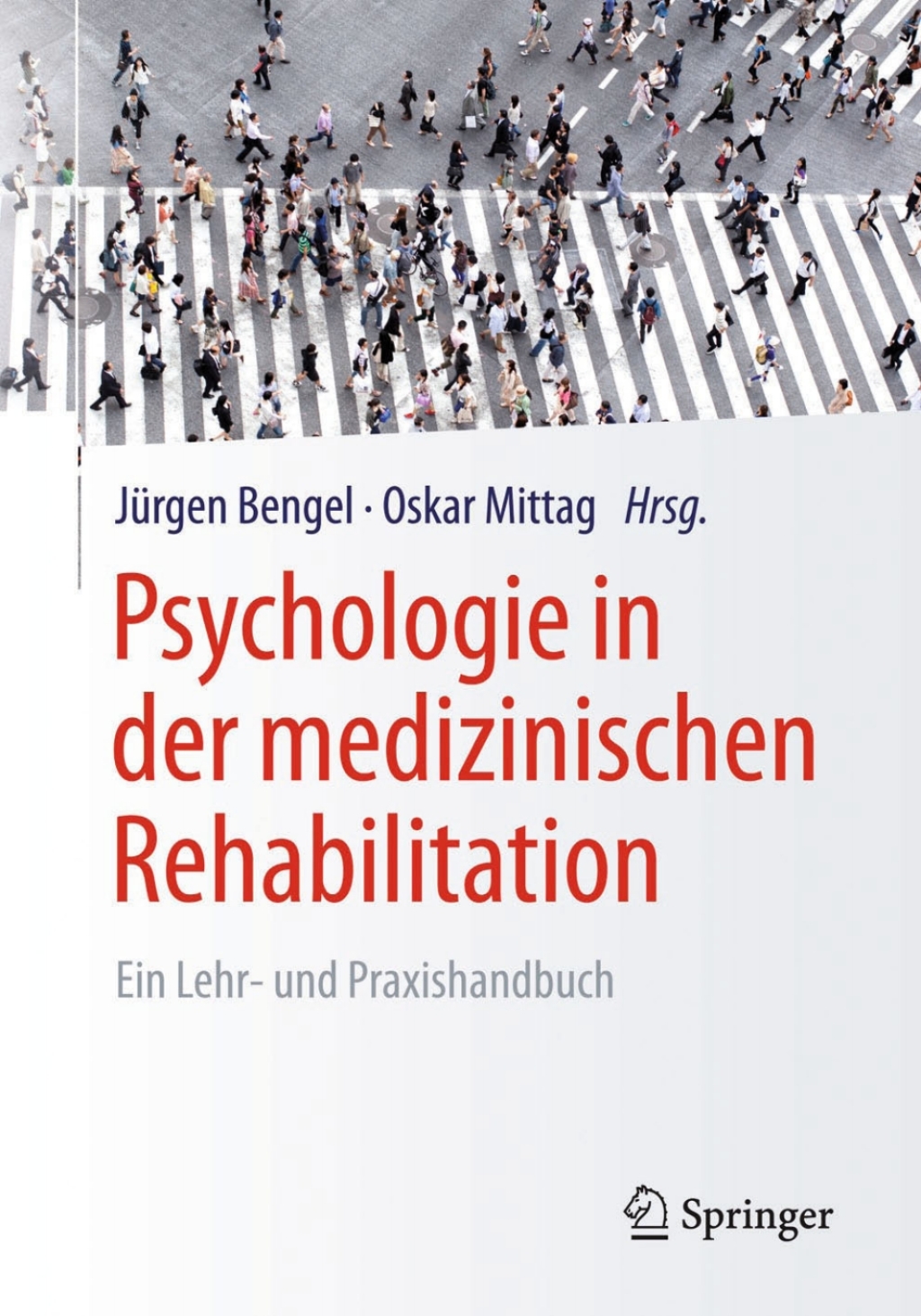 Psychologie in der medizinischen Rehabilitation Ein Lehr- und Praxishandbuch  â€“ PDF/EPUB Version Downloadable