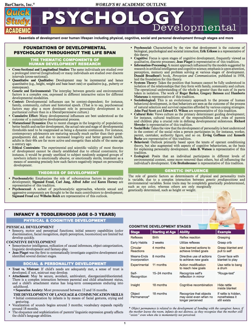 PSYCHOLOGY: DEVELOPMENTAL (LIFE SPAN) STUDY GUIDE - (PDF/EPUB Version)