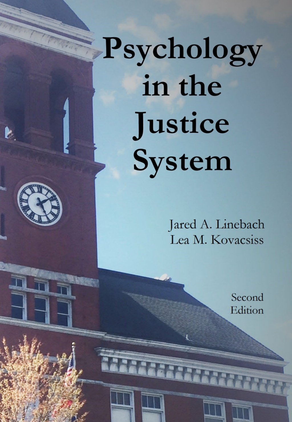 Psychology in the Justice System 2nd Edition - (PDF/EPUB Version)