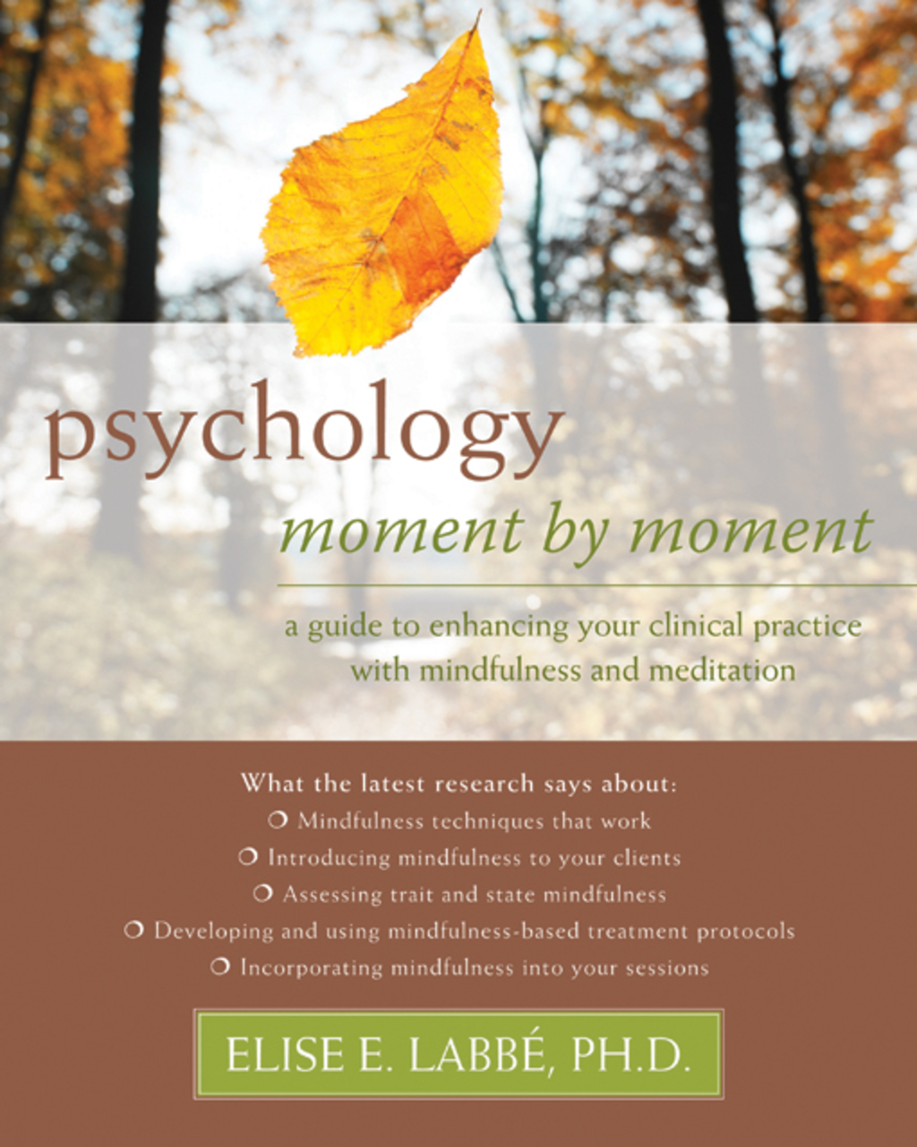 Psychology Moment by Moment A Guide to Enhancing Your Clinical Practice with Mindfulness and Meditation  â€“ PDF/EPUB Version Downloadable
