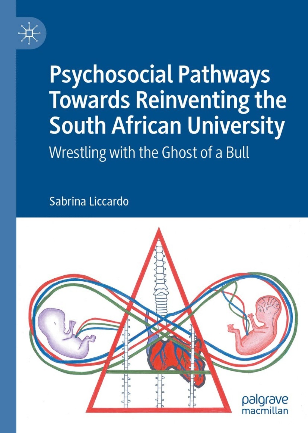 Psychosocial Pathways Towards Reinventing the South African University Wrestling with the Ghost of a Bull  â€“ PDF/EPUB Version Downloadable