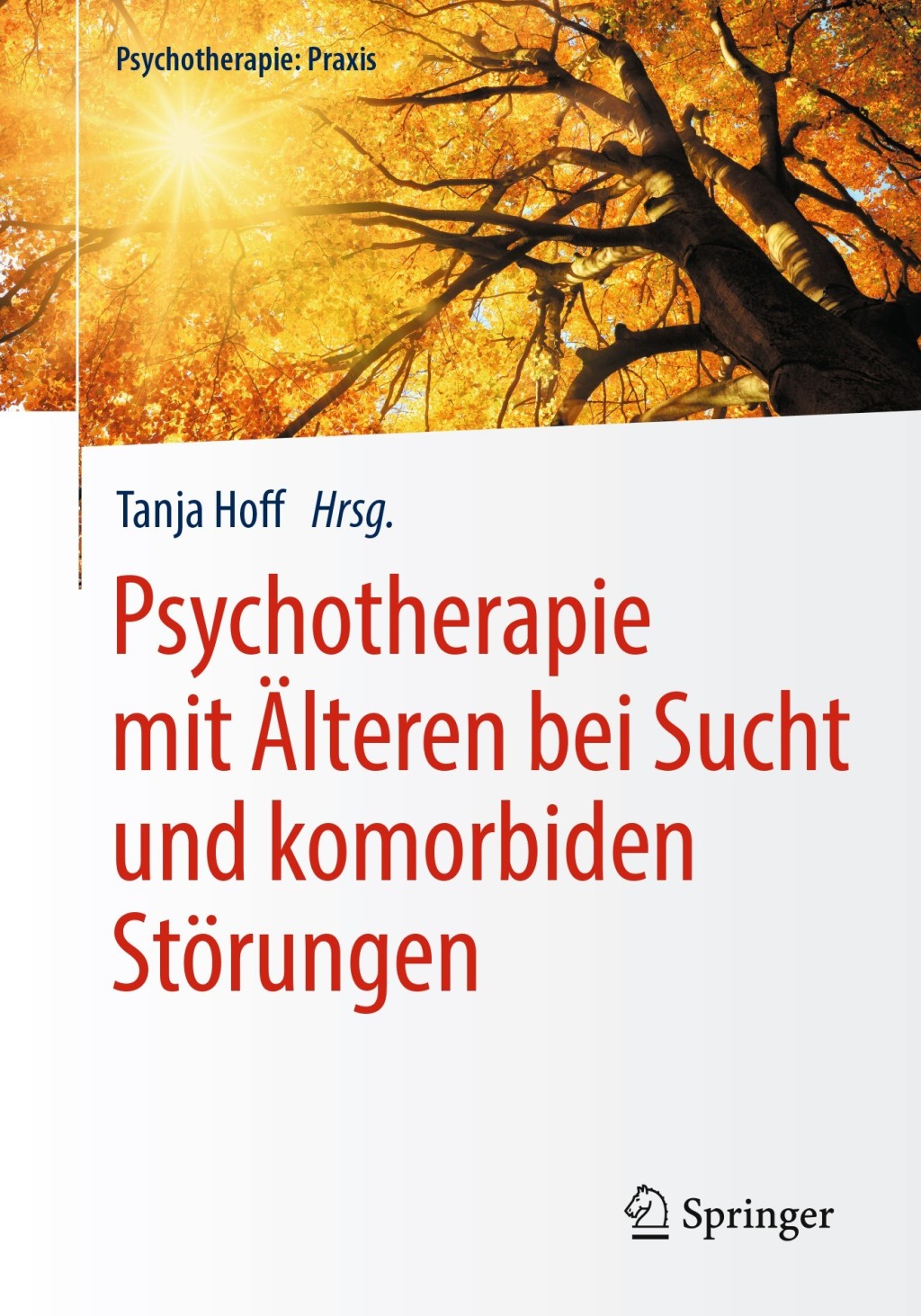 Psychotherapie mit Ã„lteren bei Sucht und komorbiden StÃ¶rungen - (PDF/EPUB Version)