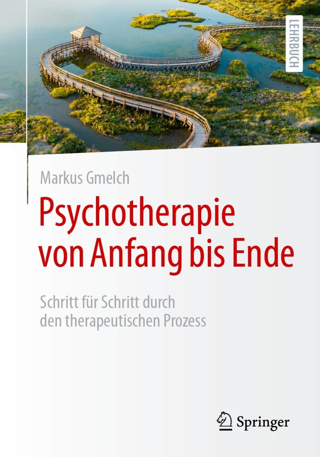Psychotherapie von Anfang bis Ende Schritt fÃ¼r Schritt durch den therapeutischen Prozess  â€“ PDF/EPUB Version Downloadable
