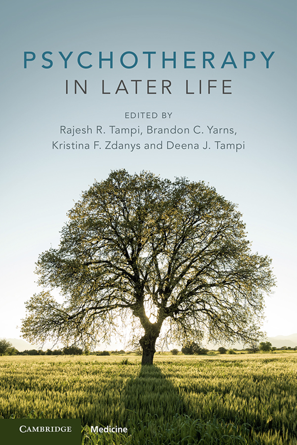 Psychotherapy in Later Life  â€“ PDF/EPUB Version Downloadable