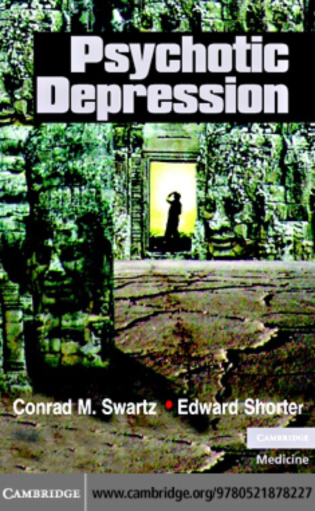 Psychotic Depression 1st Edition â€“ PDF/EPUB Version Downloadable