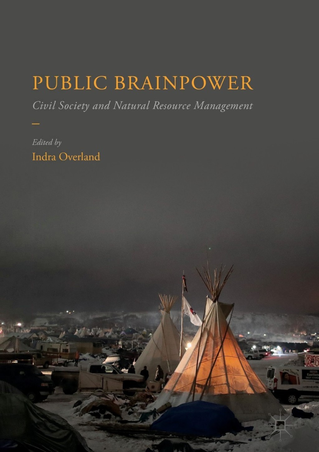 Public Brainpower Civil Society and Natural Resource Management  â€“ PDF/EPUB Version Downloadable