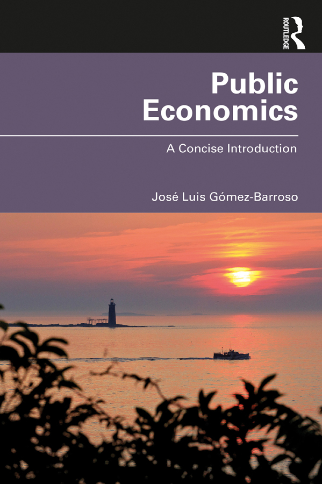 Public Economics A Concise Introduction 1st Edition â€“ PDF/EPUB Version Downloadable
