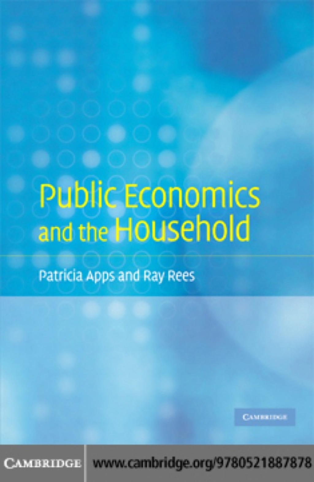 Public Economics and the Household 1st Edition â€“ PDF/EPUB Version Downloadable
