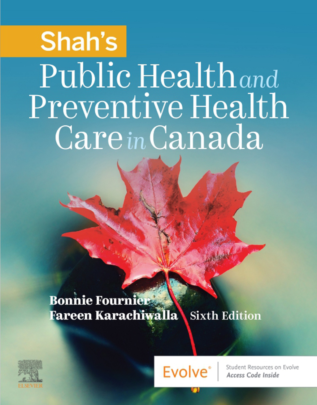 Public Health and Preventive Health Care in Canada 6th Edition â€“ PDF/EPUB Version Downloadable